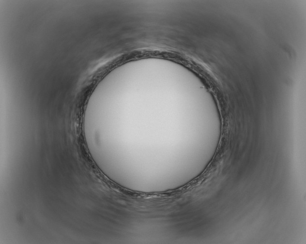 X0000114101303200910051222