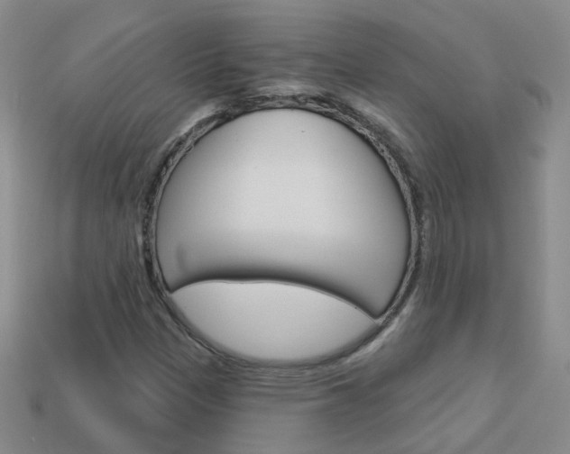 X0000114101305200910051222