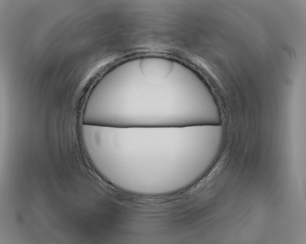 X0000114101307200910051222