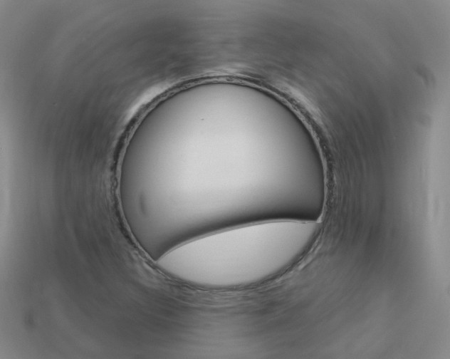 X0000114101308200910051222