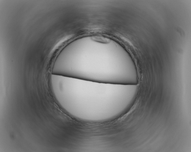 X0000114101309200910051222