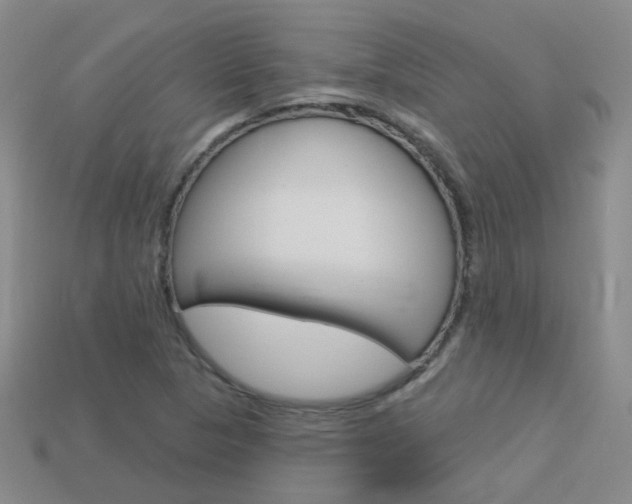 X0000114101313200910051222