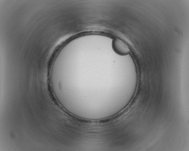 X0000114101315200910051222