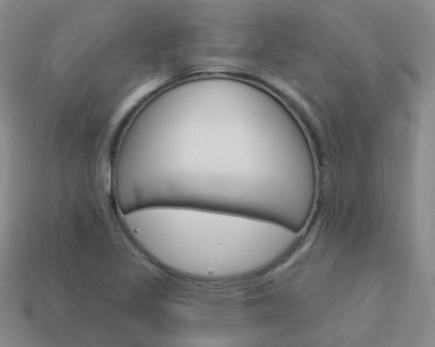 X0000114101317200910051222