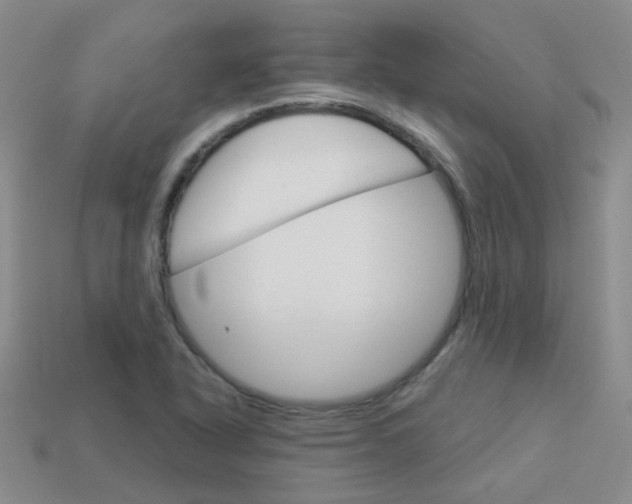 X0000114101318200910051222