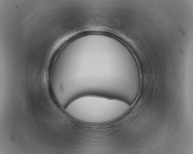 X0000114101319200910051222