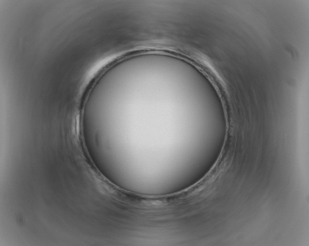 X0000114101320200910051222