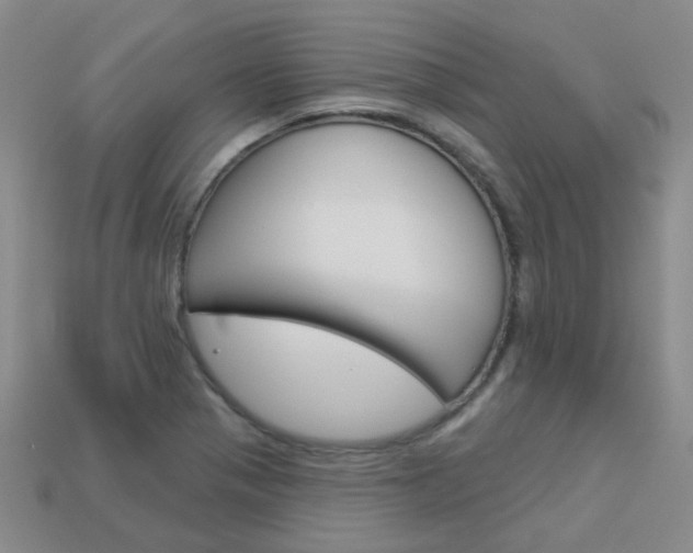X0000114101321200910051222