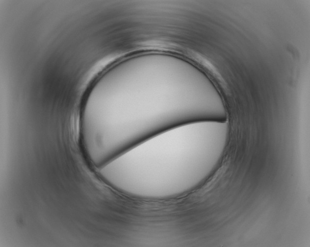 X0000114101323200910051222