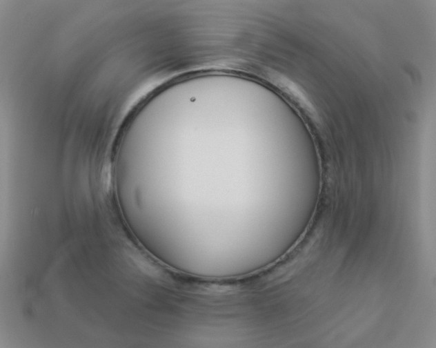 X0000114101324200910051222