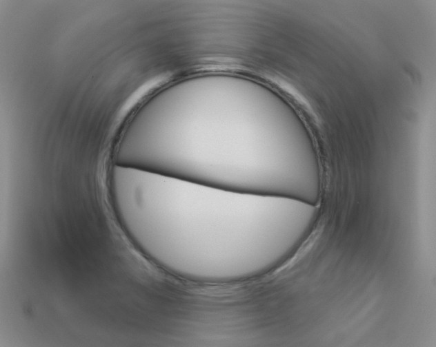 X0000114101325200910051222