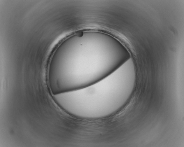 X0000114101326200910051222