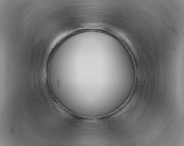 X0000114101328200910051222