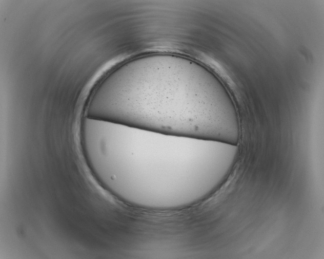 X0000114101331200910051222
