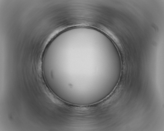 X0000114101332200910051222