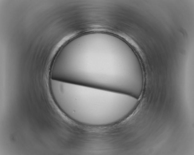 X0000114101333200910051222