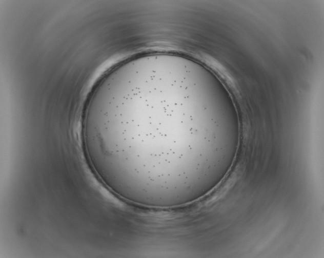 X0000114101334200910051222