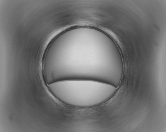 X0000114101335200910051222