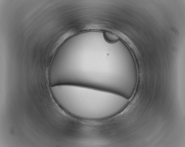 X0000114101337200910051222
