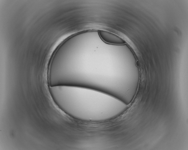 X0000114101339200910051222
