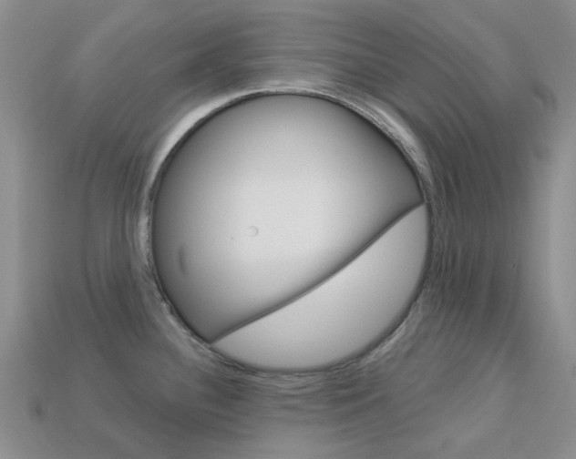 X0000114101340200910051222