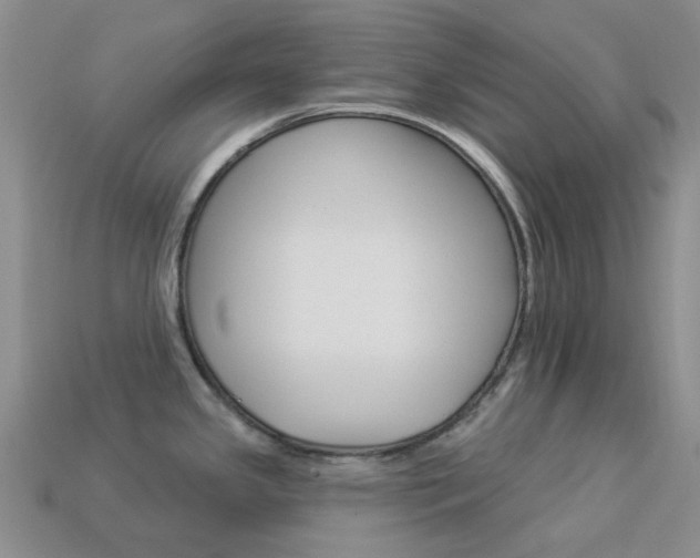 X0000114101341200910051222