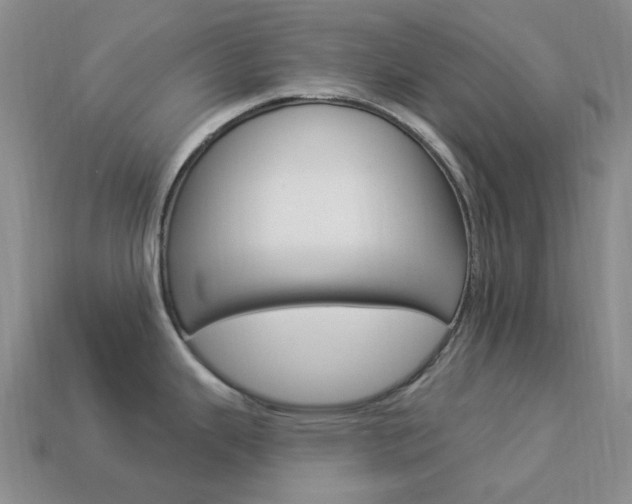 X0000114101343200910051223