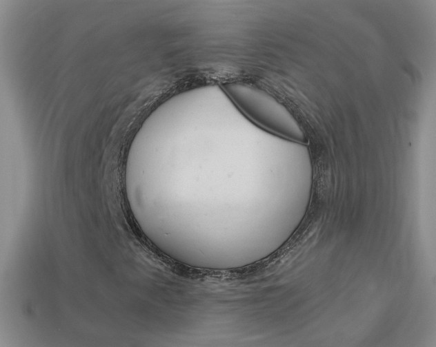 X0000114101345200910051222