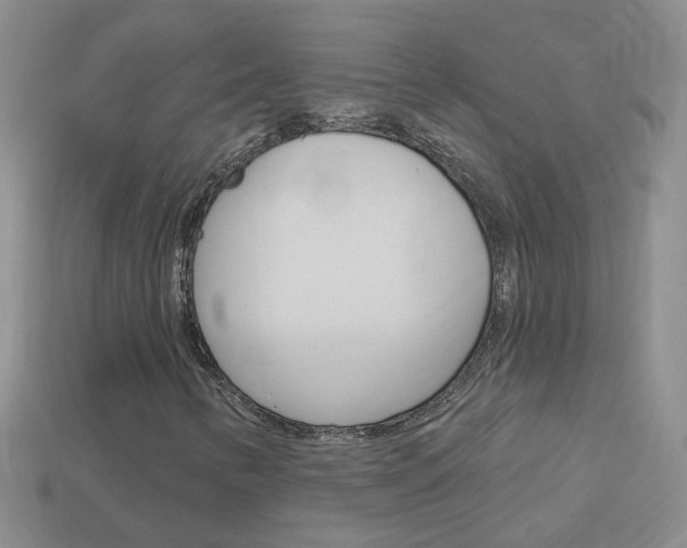 X0000114101346200910051222