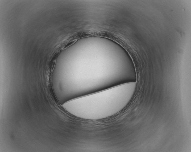 X0000114101348200910051222