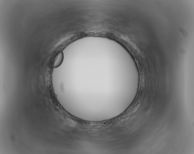 X0000114101350200910051222