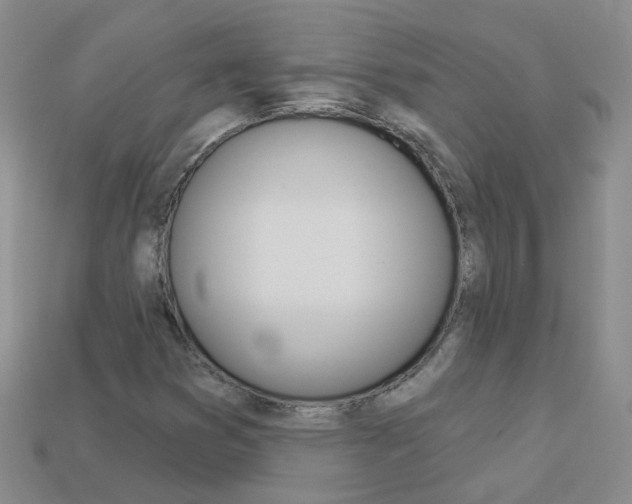 X0000114101353200910051222