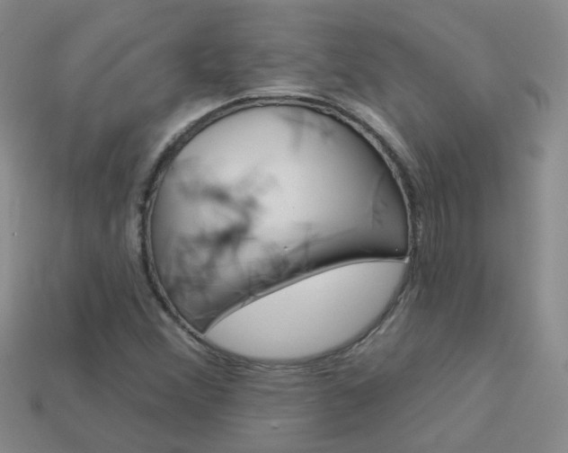 X0000114101356200910051222