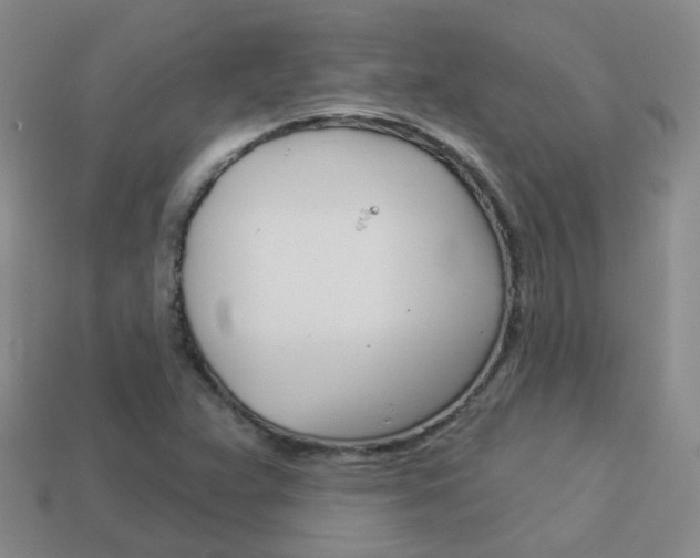 X0000114101359200910051222