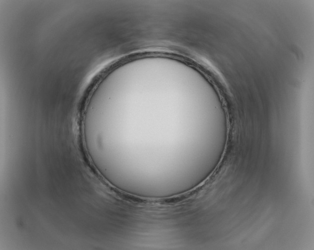 X0000114101360200910051222