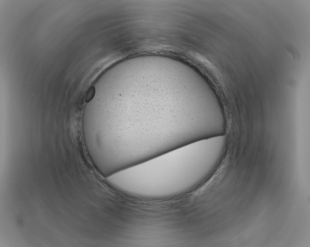 X0000114101361200910051222