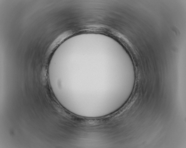 X0000114101362200910051222