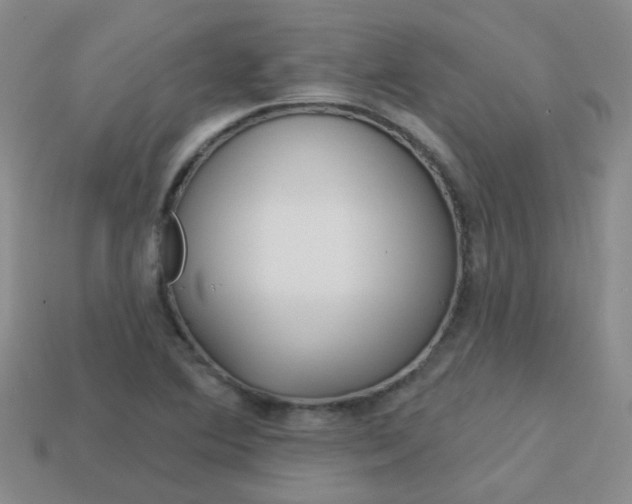 X0000114101364200910051222