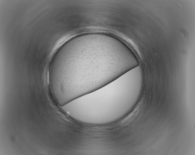 X0000114101365200910051222