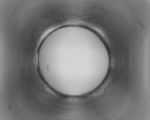 X0000114101366200910051222
