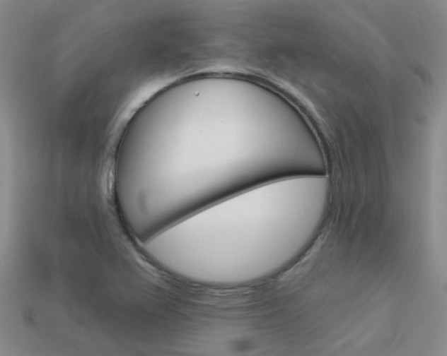 X0000114101367200910051222