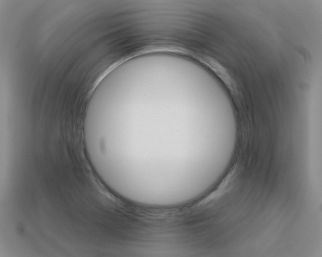 X0000114101369200910051222