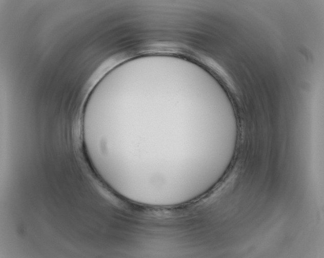 X0000114101370200910051222