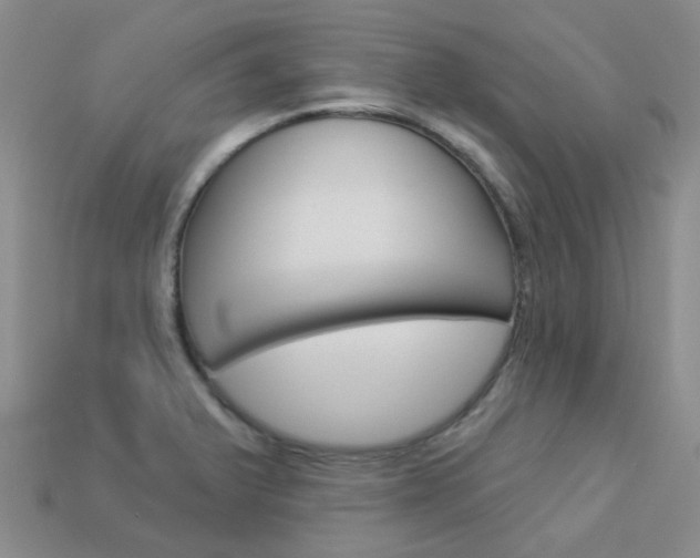 X0000114101375200910051222