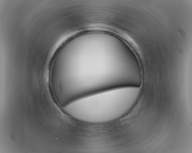 X0000114101376200910051222