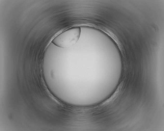 X0000114101377200910051222