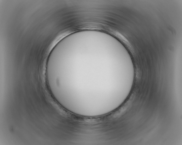 X0000114101378200910051221