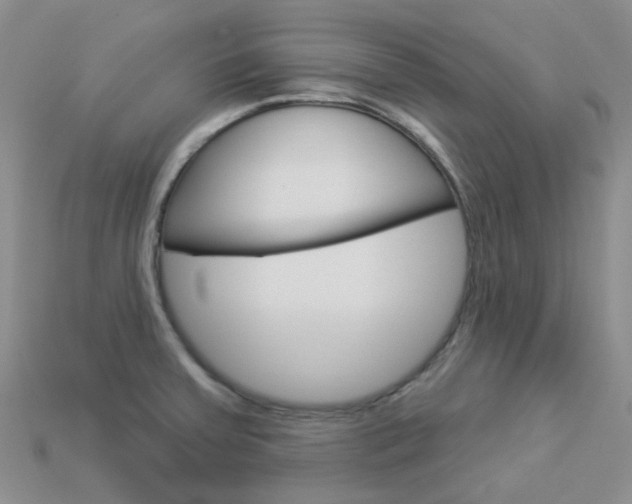 X0000114101379200910051221