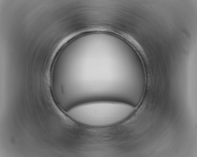 X0000114101380200910051221