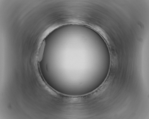 X0000114101381200910051221